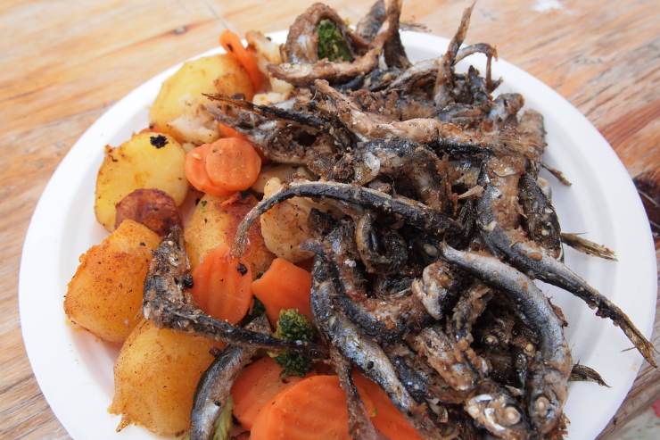 Helsinki The Tall Ship Races 2013