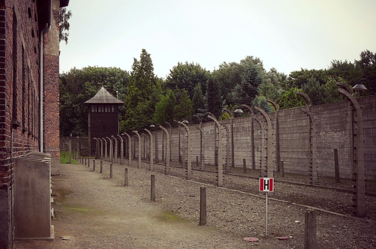 Auschwitz-kokemuksia